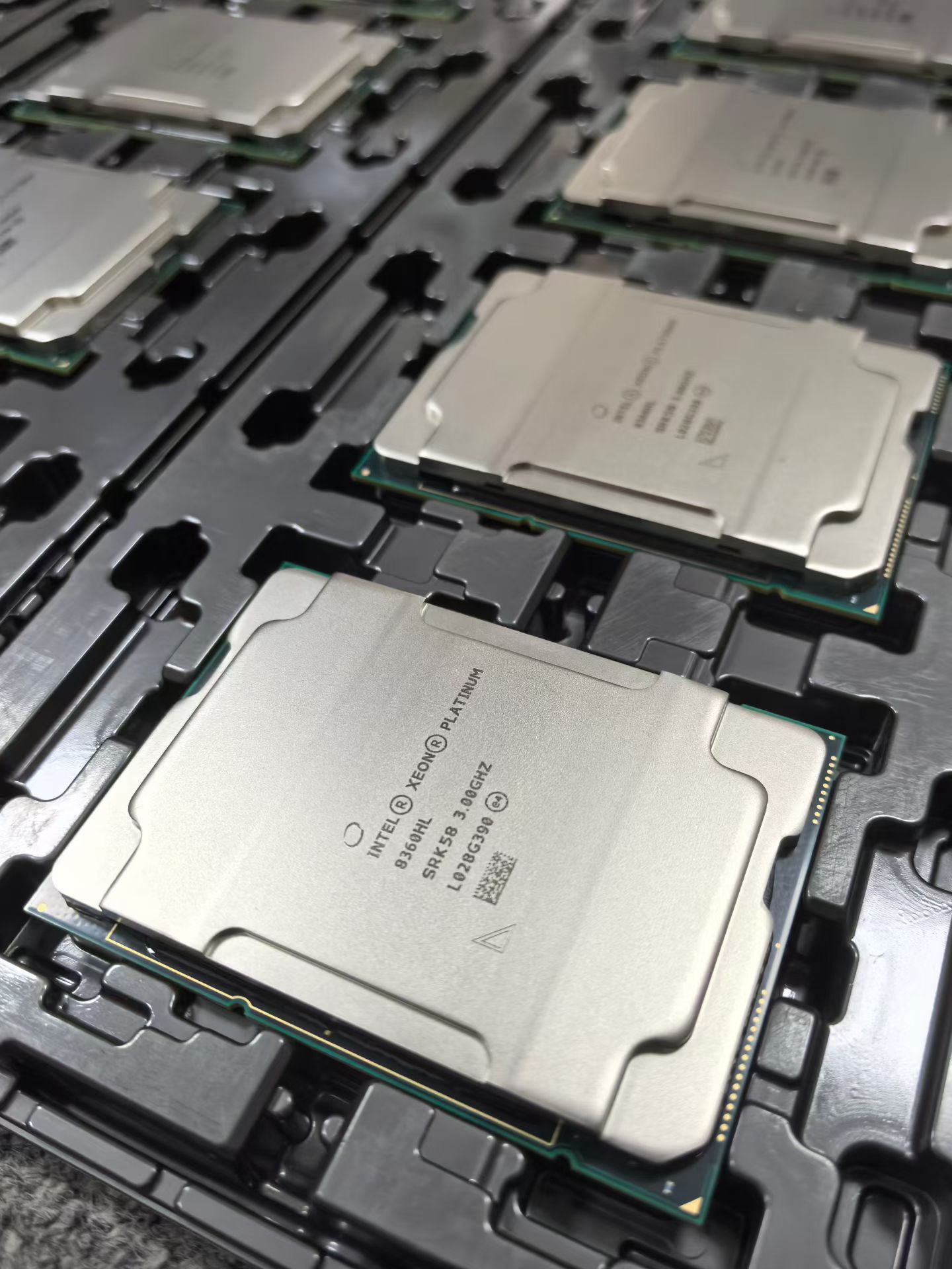 Intel Xeon server CPUs prepared for model and condition inspection