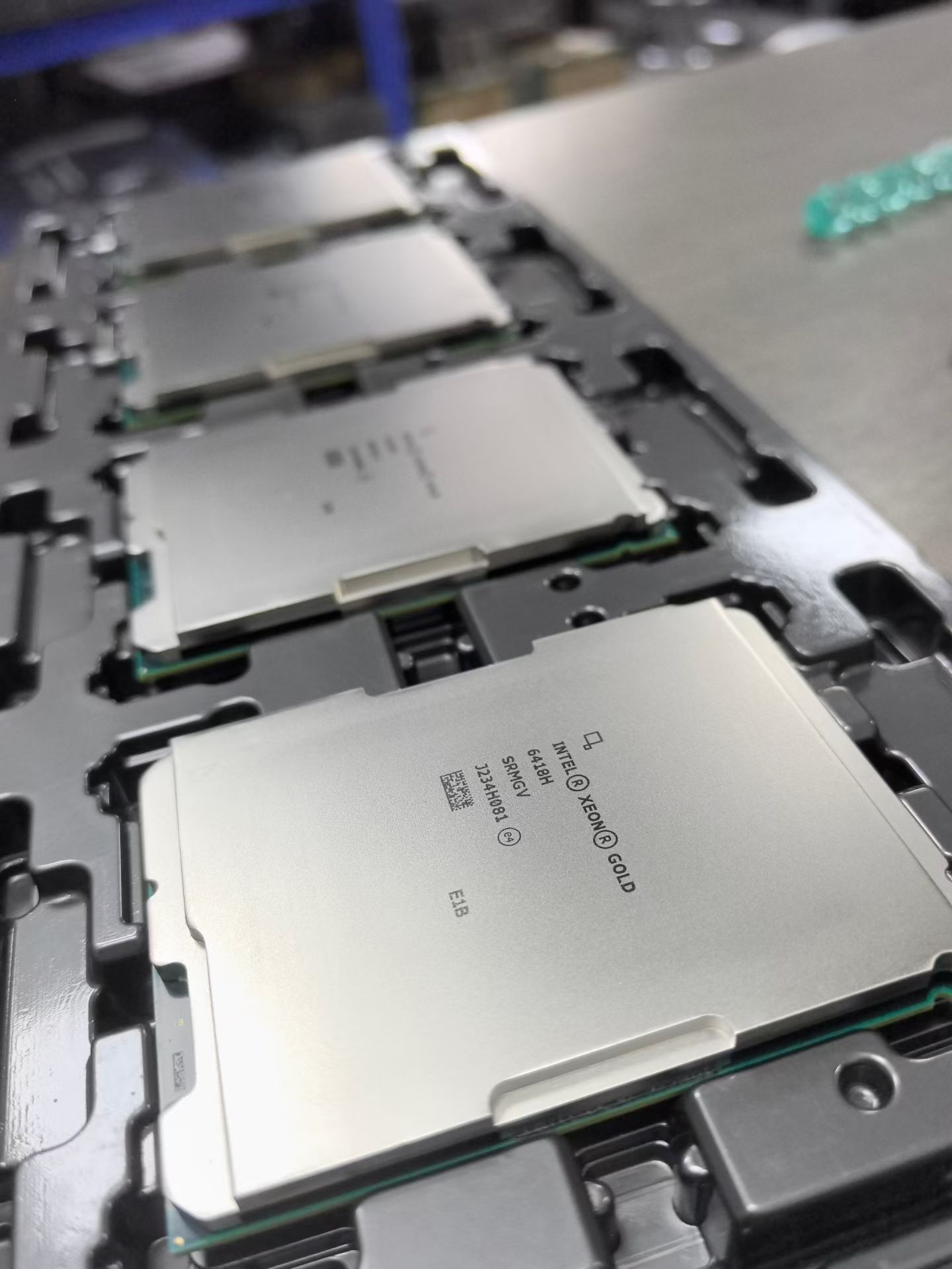 Intel Xeon server CPUs arranged in protective trays
