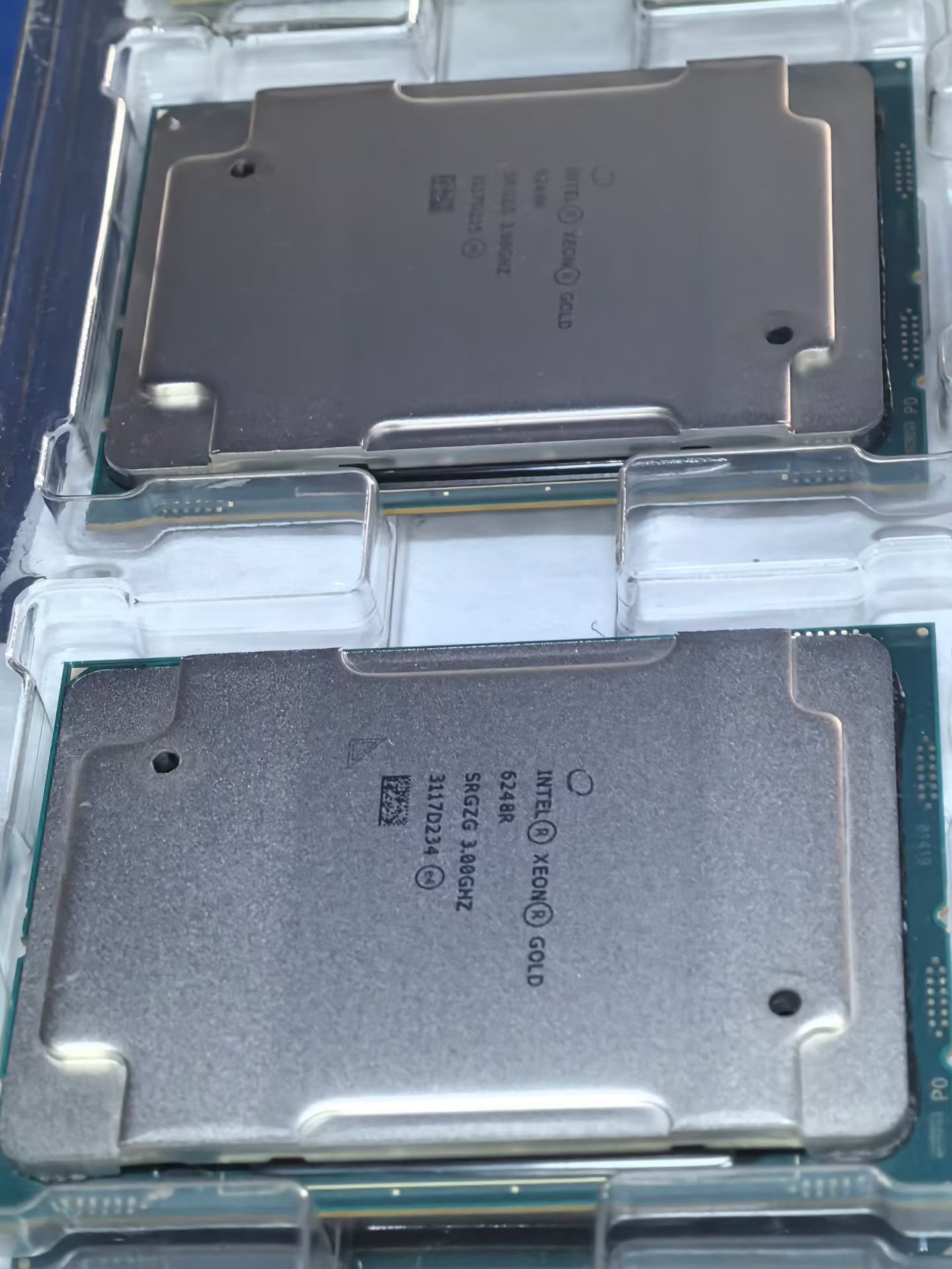 Intel Xeon CPU label and carrier close-up for model inspection